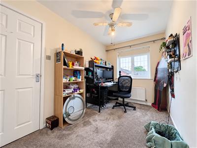Picture 12